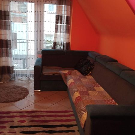 Uroczy Apartament Краків Екстер'єр фото