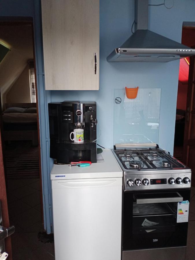 Uroczy Apartament Краків Екстер'єр фото